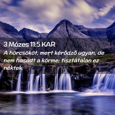 Picture 02 - 3 Mózes 11:5 KAR - A hörcsököt, mert kérõdzõ ugyan, de nem - Bible Verse Picture