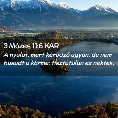 Picture 02 - 3 Mózes 11:6 KAR - A nyulat, mert kérõdzõ ugyan, de nem hasadt a - Bible Verse Picture