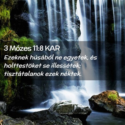 Picture 02 - 3 Mózes 11:8 KAR - Ezeknek húsából ne egyetek, és holttestöket - Bible Verse Picture