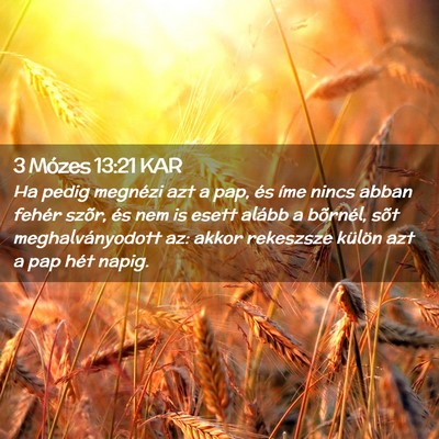 Picture 02 - 3 Mózes 13:21 KAR - Ha pedig megnézi azt a pap, és íme nincs abban - Bible Verse Picture