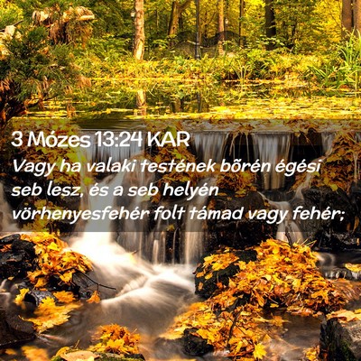 Picture 02 - 3 Mózes 13:24 KAR - Vagy ha valaki testének bõrén égési seb - Bible Verse Picture