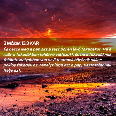 Picture 02 - 3 Mózes 13:3 KAR - És nézze meg a pap azt a test bõrén lévõ - Bible Verse Picture
