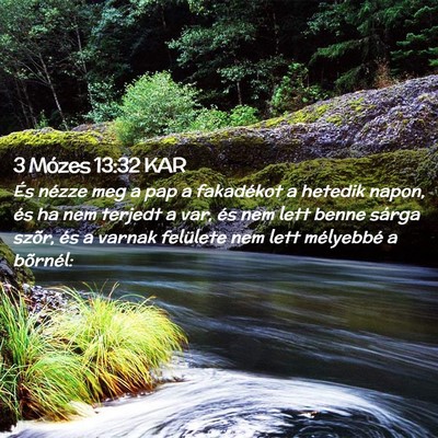 Picture 02 - 3 Mózes 13:32 KAR - És nézze meg a pap a fakadékot a hetedik - Bible Verse Picture