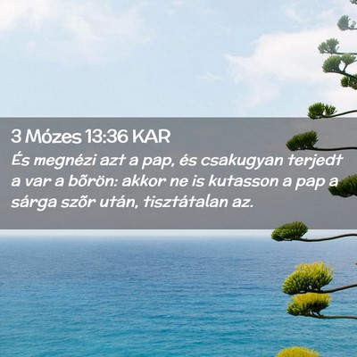 Picture 02 - 3 Mózes 13:36 KAR - És megnézi azt a pap, és csakugyan terjedt a - Bible Verse Picture