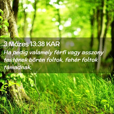 Picture 02 - 3 Mózes 13:38 KAR - Ha pedig valamely férfi vagy asszony testének - Bible Verse Picture
