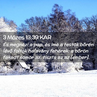 Picture 02 - 3 Mózes 13:39 KAR - És megnézi a pap, és ímé a testök bõrén - Bible Verse Picture