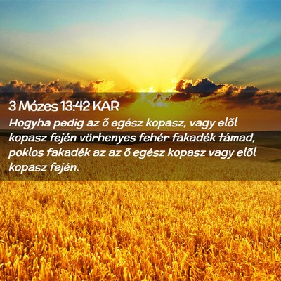 Picture 02 - 3 Mózes 13:42 KAR - Hogyha pedig az õ egész kopasz, vagy elõl - Bible Verse Picture