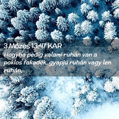 Picture 02 - 3 Mózes 13:47 KAR - Hogyha pedig valami ruhán van a poklos fakadék, - Bible Verse Picture
