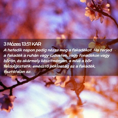 Picture 02 - 3 Mózes 13:51 KAR - A hetedik napon pedig nézze meg a fakadékot. Ha - Bible Verse Picture