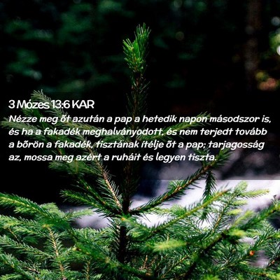 Picture 02 - 3 Mózes 13:6 KAR - Nézze meg õt azután a pap a hetedik napon - Bible Verse Picture