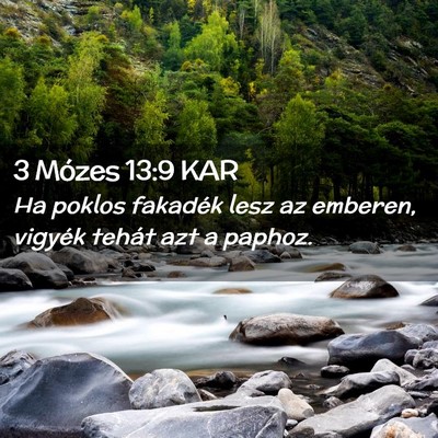 Picture 02 - 3 Mózes 13:9 KAR - Ha poklos fakadék lesz az emberen, vigyék - Bible Verse Picture