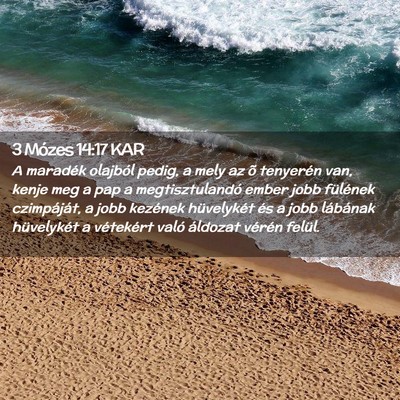 Picture 02 - 3 Mózes 14:17 KAR - A maradék olajból pedig, a mely az õ tenyerén - Bible Verse Picture