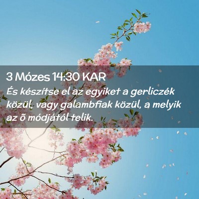 Picture 02 - 3 Mózes 14:30 KAR - És készítse el az egyiket a gerliczék - Bible Verse Picture