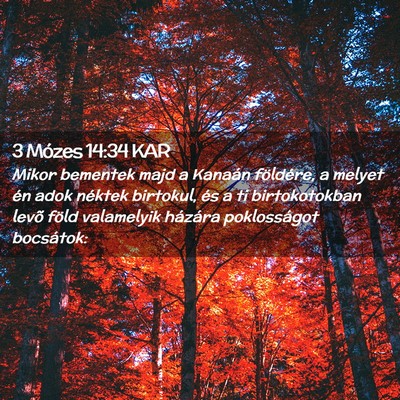 Picture 02 - 3 Mózes 14:34 KAR - Mikor bementek majd a Kanaán földére, a melyet - Bible Verse Picture