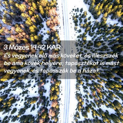 Picture 02 - 3 Mózes 14:42 KAR - És vegyenek elõ más köveket, és illeszszék - Bible Verse Picture