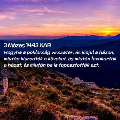 Picture 02 - 3 Mózes 14:43 KAR - Hogyha a poklosság visszatér, és kiújul a - Bible Verse Picture