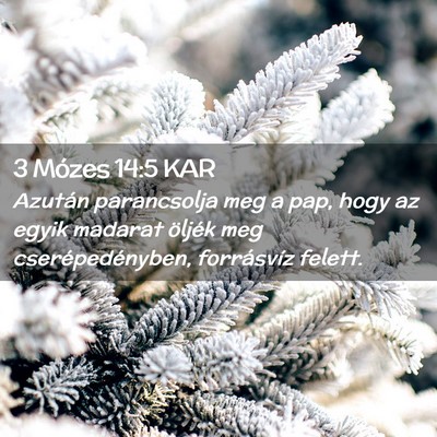 Picture 02 - 3 Mózes 14:5 KAR - Azután parancsolja meg a pap, hogy az egyik - Bible Verse Picture
