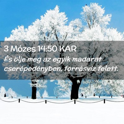Picture 02 - 3 Mózes 14:50 KAR - És ölje meg az egyik madarat cserépedényben, - Bible Verse Picture