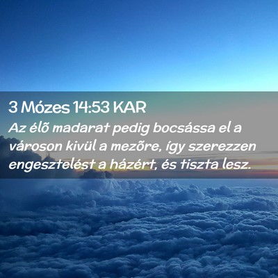Picture 02 - 3 Mózes 14:53 KAR - Az élõ madarat pedig bocsássa el a városon - Bible Verse Picture