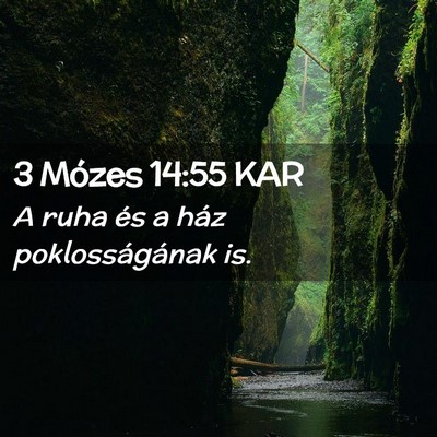 Picture 02 - 3 Mózes 14:55 KAR - A ruha és a ház poklosságának - Bible Verse Picture