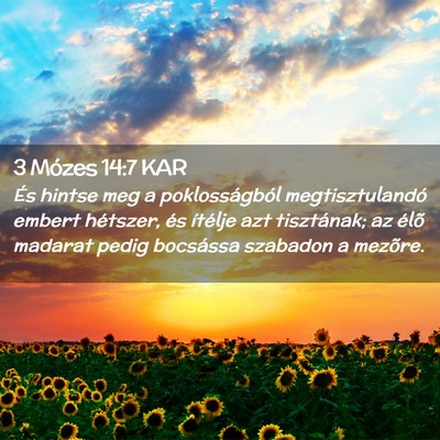 Picture 02 - 3 Mózes 14:7 KAR - És hintse meg a poklosságból megtisztulandó - Bible Verse Picture
