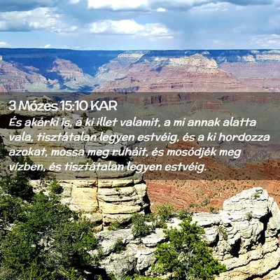 Picture 02 - 3 Mózes 15:10 KAR - És akárki is, a ki illet valamit, a mi annak - Bible Verse Picture