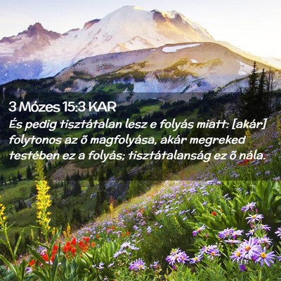 Picture 02 - 3 Mózes 15:3 KAR - És pedig tisztátalan lesz e folyás miatt: - Bible Verse Picture