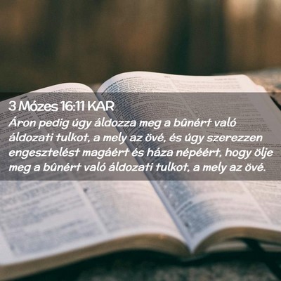 Picture 02 - 3 Mózes 16:11 KAR - Áron pedig úgy áldozza meg a bûnért való - Bible Verse Picture