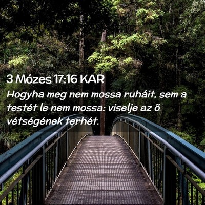 Picture 02 - 3 Mózes 17:16 KAR - Hogyha meg nem mossa ruháit, sem a testét le - Bible Verse Picture