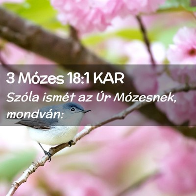 Picture 02 - 3 Mózes 18:1 KAR - Szóla ismét az Úr Mózesnek, - Bible Verse Picture