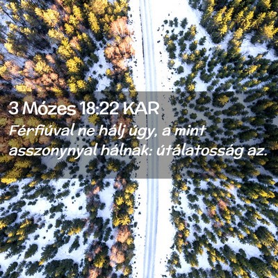Picture 02 - 3 Mózes 18:22 KAR - Férfiúval ne hálj úgy, a mint asszonynyal - Bible Verse Picture