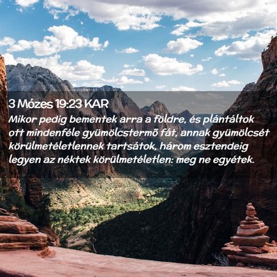 Picture 02 - 3 Mózes 19:23 KAR - Mikor pedig bementek arra a földre, és - Bible Verse Picture