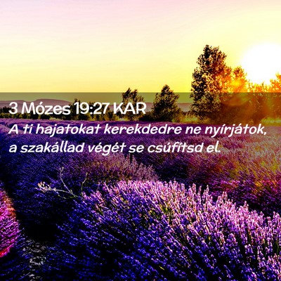 Picture 02 - 3 Mózes 19:27 KAR - A ti hajatokat kerekdedre ne nyírjátok, a - Bible Verse Picture