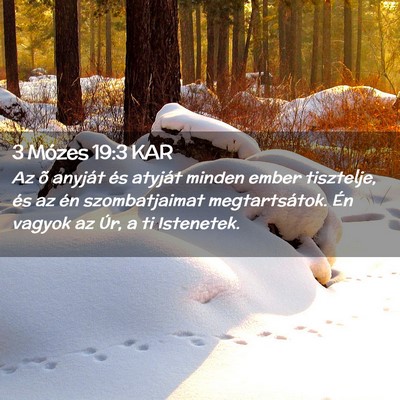 Picture 02 - 3 Mózes 19:3 KAR - Az õ anyját és atyját minden ember tisztelje, - Bible Verse Picture