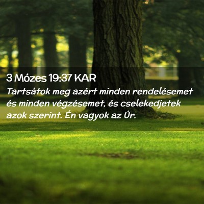Picture 02 - 3 Mózes 19:37 KAR - Tartsátok meg azért minden rendelésemet és - Bible Verse Picture