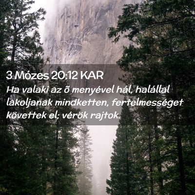 Picture 02 - 3 Mózes 20:12 KAR - Ha valaki az õ menyével hál, halállal - Bible Verse Picture