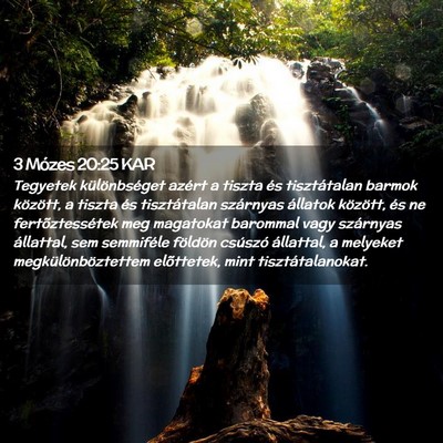 Picture 02 - 3 Mózes 20:25 KAR - Tegyetek különbséget azért a tiszta és - Bible Verse Picture