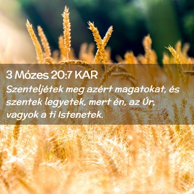 Picture 02 - 3 Mózes 20:7 KAR - Szenteljétek meg azért magatokat, és szentek - Bible Verse Picture