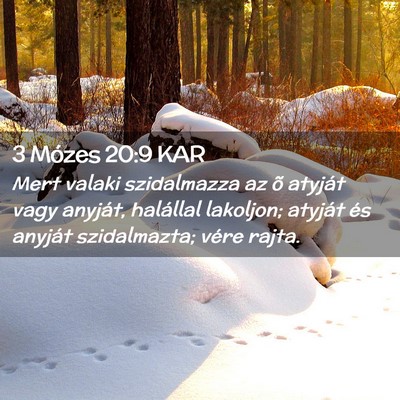 Picture 02 - 3 Mózes 20:9 KAR - Mert valaki szidalmazza az õ atyját vagy - Bible Verse Picture