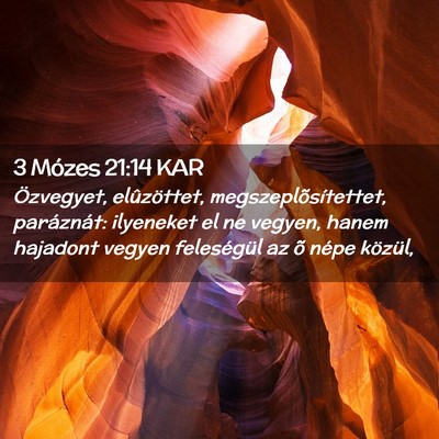 Picture 02 - 3 Mózes 21:14 KAR - Özvegyet, elûzöttet, megszeplõsítettet, - Bible Verse Picture
