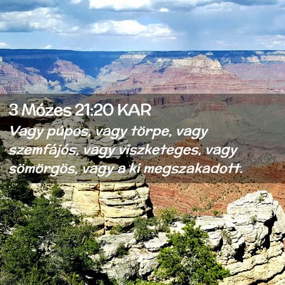 Picture 02 - 3 Mózes 21:20 KAR - Vagy púpos, vagy törpe, vagy szemfájós, vagy - Bible Verse Picture