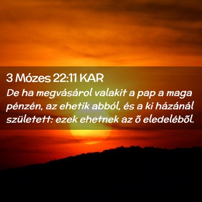 Picture 02 - 3 Mózes 22:11 KAR - De ha megvásárol valakit a pap a maga pénzén, - Bible Verse Picture