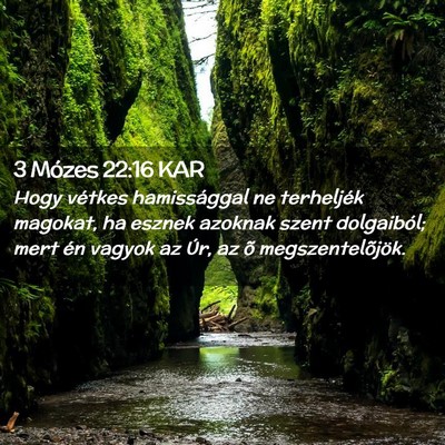 Picture 02 - 3 Mózes 22:16 KAR - Hogy vétkes hamissággal ne terheljék magokat, - Bible Verse Picture