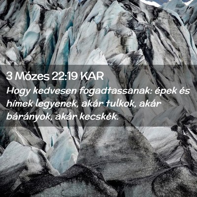 Picture 02 - 3 Mózes 22:19 KAR - Hogy kedvesen fogadtassanak: épek és hímek - Bible Verse Picture
