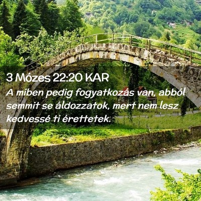 Picture 02 - 3 Mózes 22:20 KAR - A miben pedig fogyatkozás van, abból semmit se - Bible Verse Picture