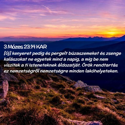 Picture 02 - 3 Mózes 23:14 KAR - [Új] kenyeret pedig és pergelt búzaszemeket - Bible Verse Picture