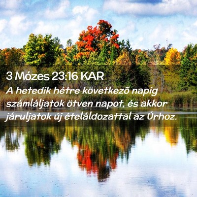 Picture 02 - 3 Mózes 23:16 KAR - A hetedik hétre következõ napig számláljatok - Bible Verse Picture