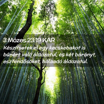Picture 02 - 3 Mózes 23:19 KAR - Készítsetek el egy kecskebakot is bûnért - Bible Verse Picture