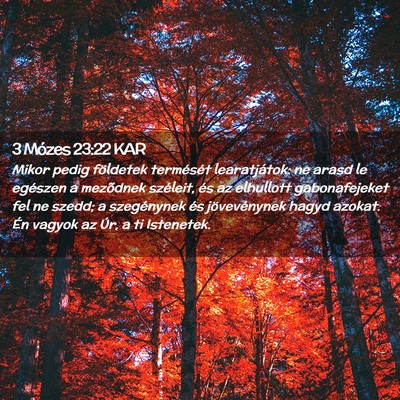 Picture 02 - 3 Mózes 23:22 KAR - Mikor pedig földetek termését learatjátok: ne - Bible Verse Picture