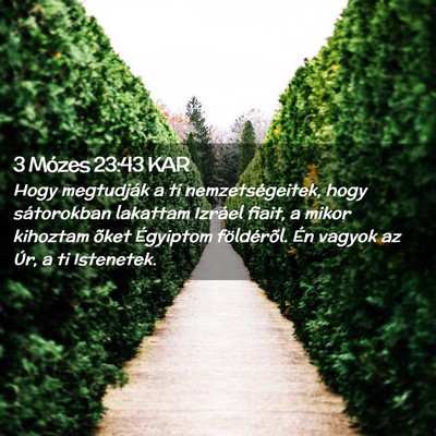 Picture 02 - 3 Mózes 23:43 KAR - Hogy megtudják a ti nemzetségeitek, hogy - Bible Verse Picture
